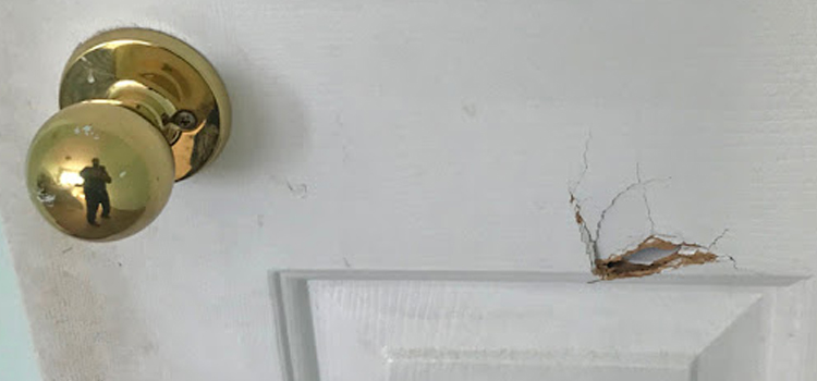 interior door hole repair Taft